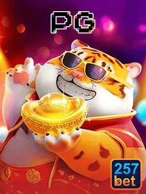 Jogador se divertindo em slot games na 257bet